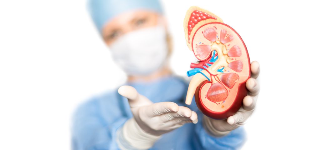 Image result for kidney transplant