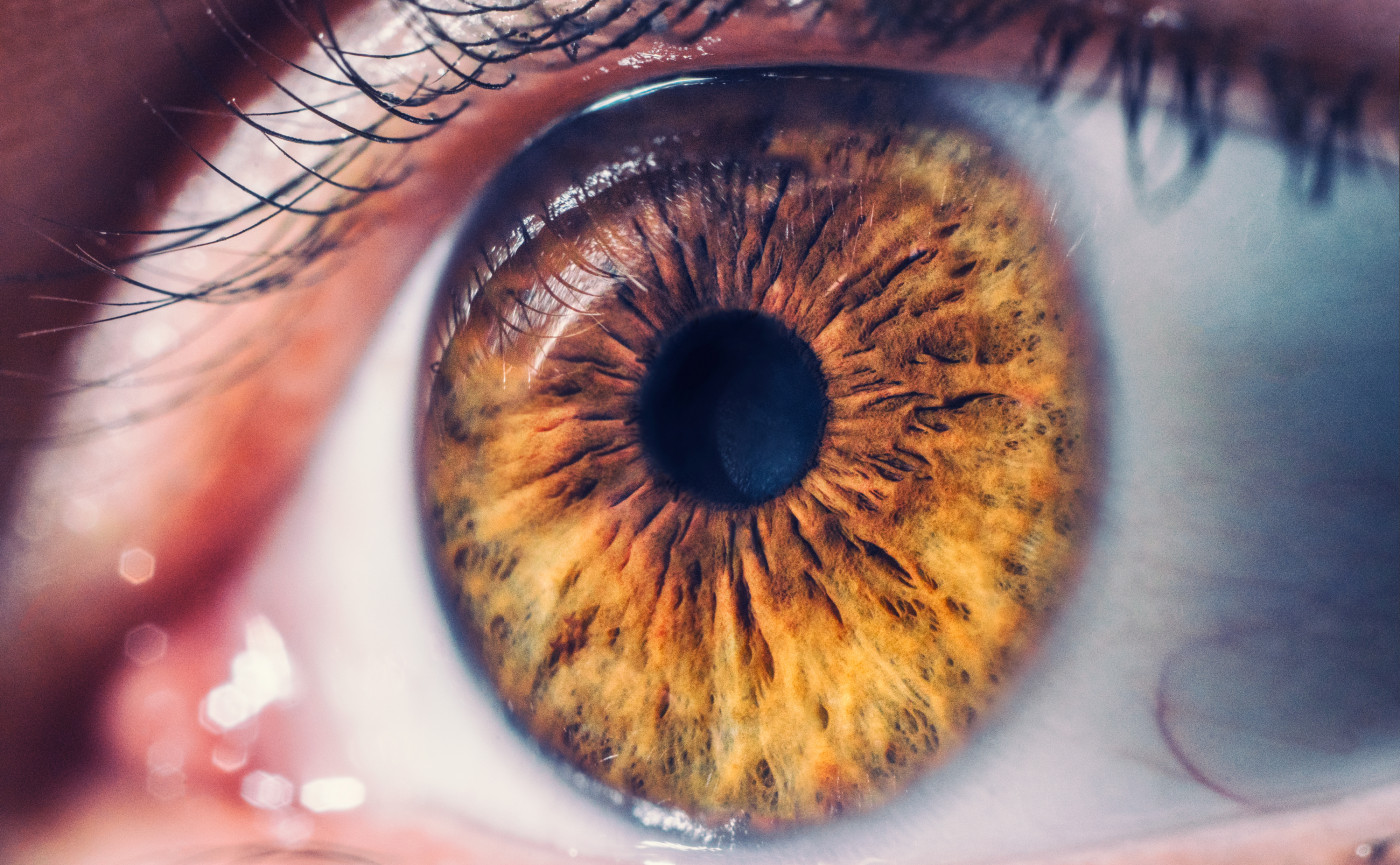 Alport and eye health
