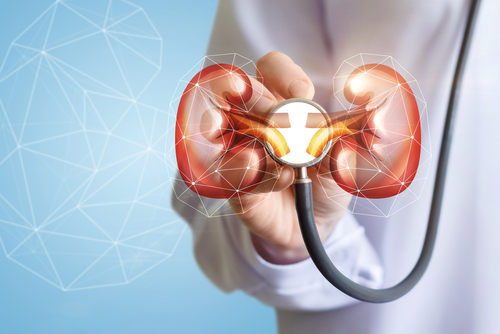 Alport Patients See Improved Kidney Function with Bardoxolone Methyl